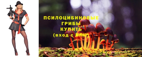 прущие грибы Белоозёрский