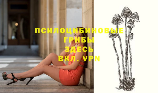 прущие грибы Белоозёрский