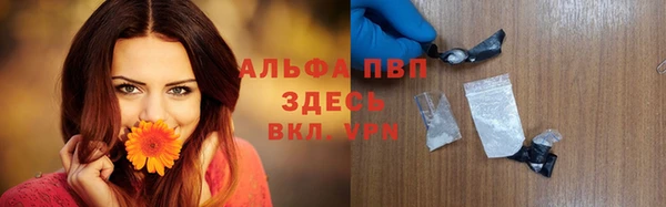 прущие грибы Белоозёрский