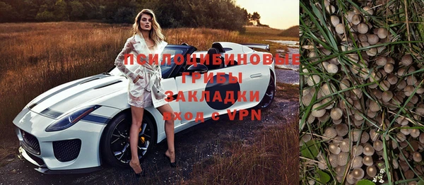 прущие грибы Белоозёрский