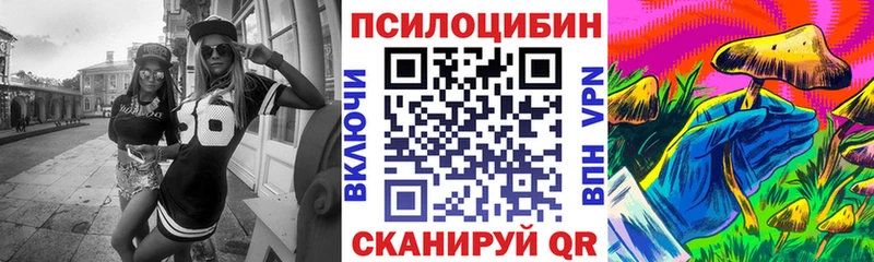 купить закладку  Куртамыш  Галлюциногенные грибы Cubensis 