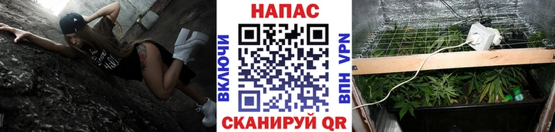 Бошки марихуана сатива  Куртамыш 
